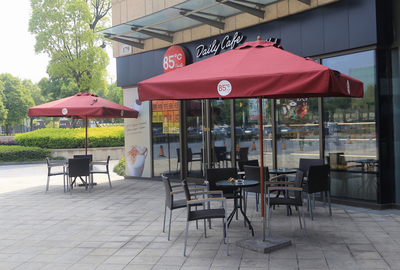 飞雁中柱伞（方形拉绳）